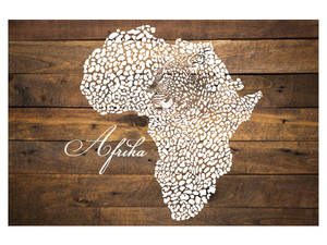 Afrika térkép Gepard falmatrica 1