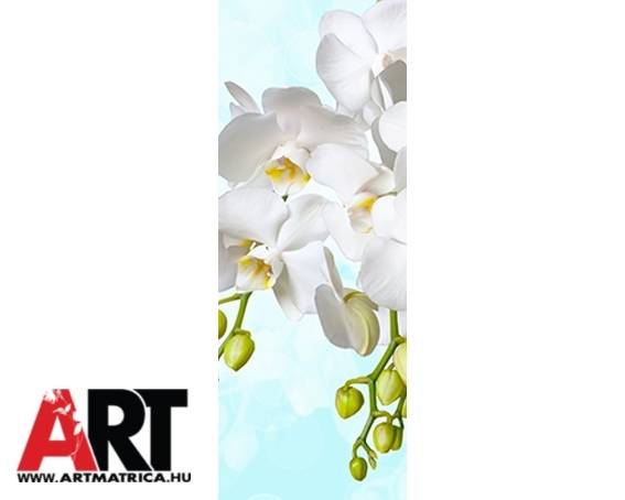 Fehér orchidea Mágneses hűtőmatrica 1