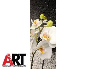 Fehér orchidea Mágneses hűtőmatrica 1