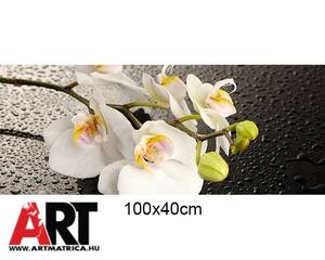 Fehér orchidea Bútor matrica 1