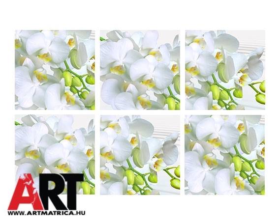 Fehér orchidea virág Csempe matrica 1