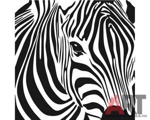 Zebra kép falmatrica 1