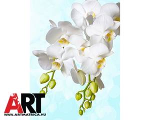 Fehér orchidea virág mosogatógép öntapadós matrica 1