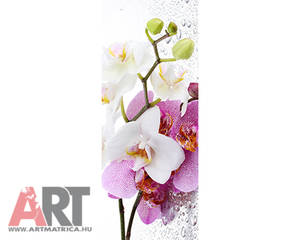 Ciklámen magenta orhidea virág Ajtóposzter 1