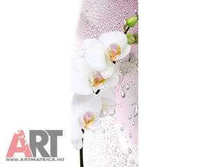 Fehér orhidea virág Ajtóposzter 1