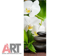 Fehér orhidea virág Ajtóposzter 1