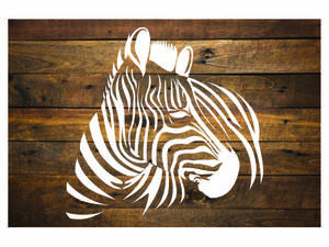 Zebra falmatrica 1