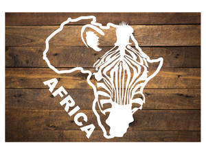 Afrika zebra falmatrica 1